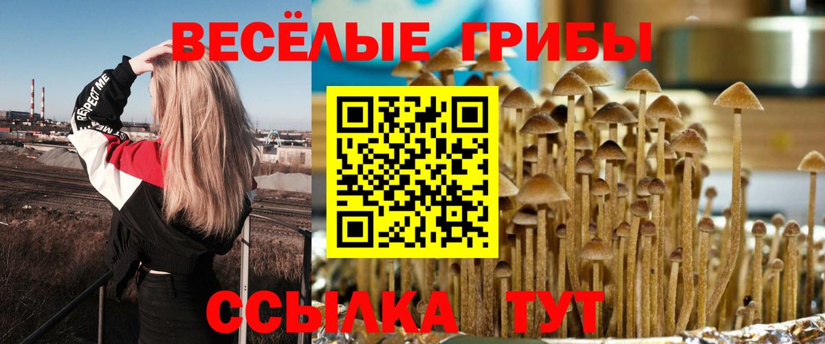 Коряжма  Псилоцибиновые грибы Cubensis  Вход с VPN  Галлюциногенные грибы Magic Shrooms 